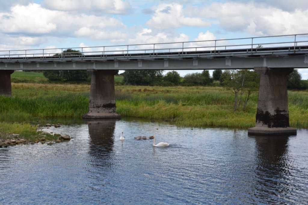 DSC_6032Mittel_.JPG